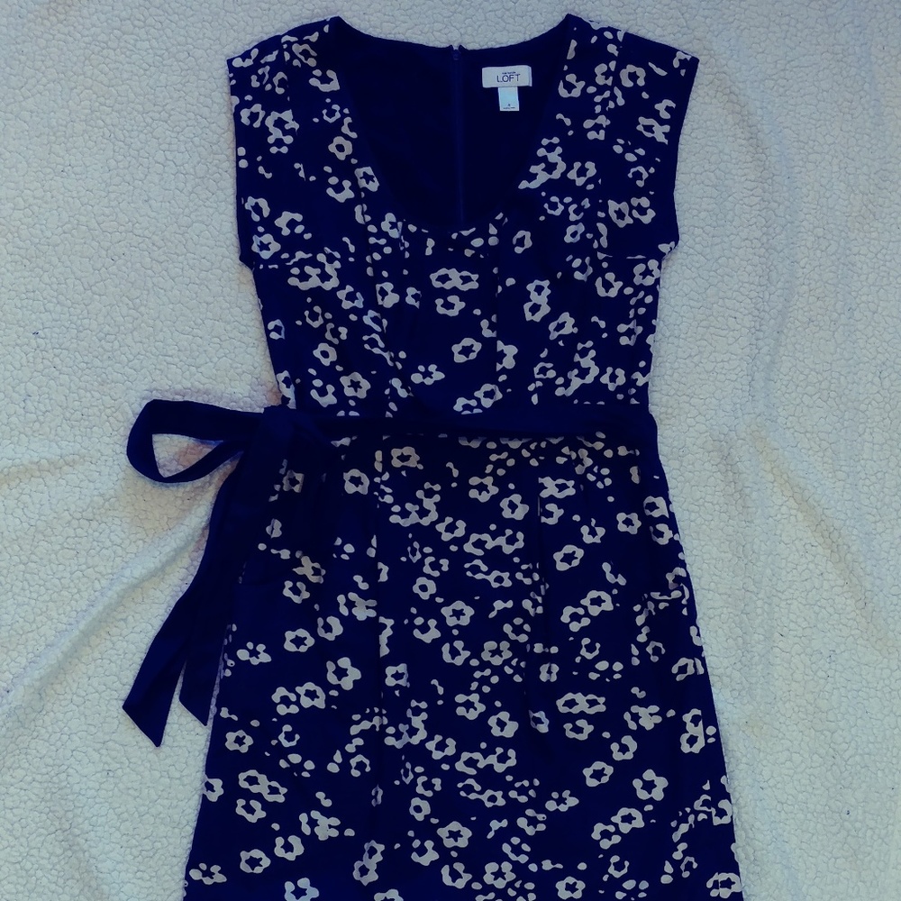 Loft navy and cream dress